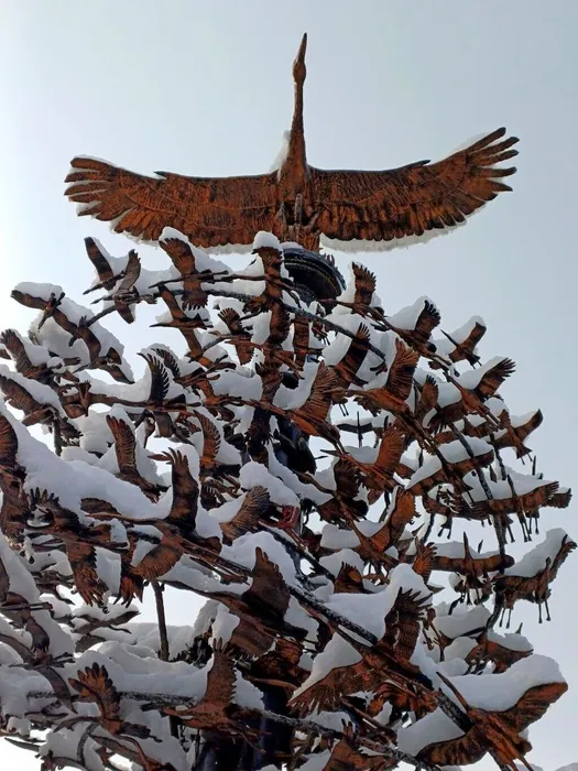 photo_2025-02-24_15-58-38