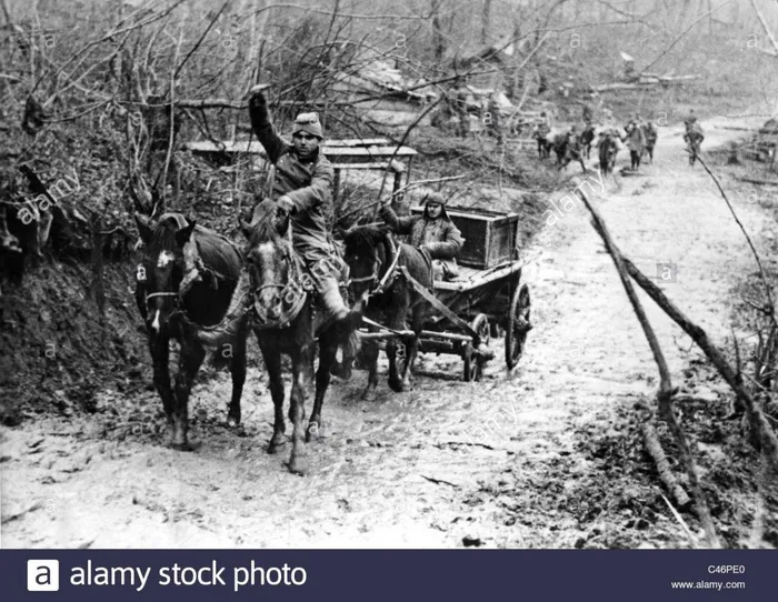 second-world-war-advance-of-the-wehrmacht-to-the-caucasus-mountains-C46PE0