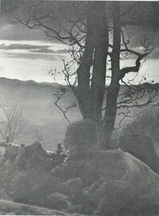 ганснасёме