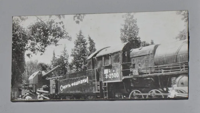 DSC_0600
